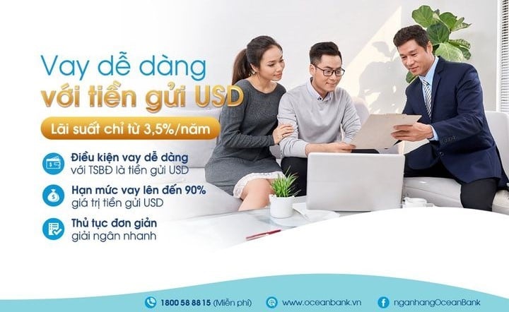 co-the-dang-ky-gui-tien-usd-qua-e-banking-ocean-bank-khong-onehousing