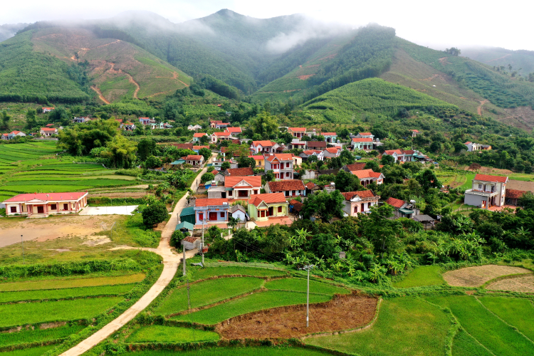 cap-nhat-ban-do-quy-hoach-huyen-son-dong-bac-giang-moi-nhat-onehousing-1