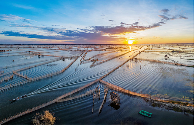 cap-nhat-tinh-hinh-quy-hoach-vung-pha-tam-giang-cau-hai-thua-thien-hue-moi-nhat-anh1