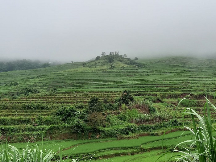 cap-nhat-ban-do-quy-hoach-huyen-cao-phong-hoa-binh-moi-nhat-1