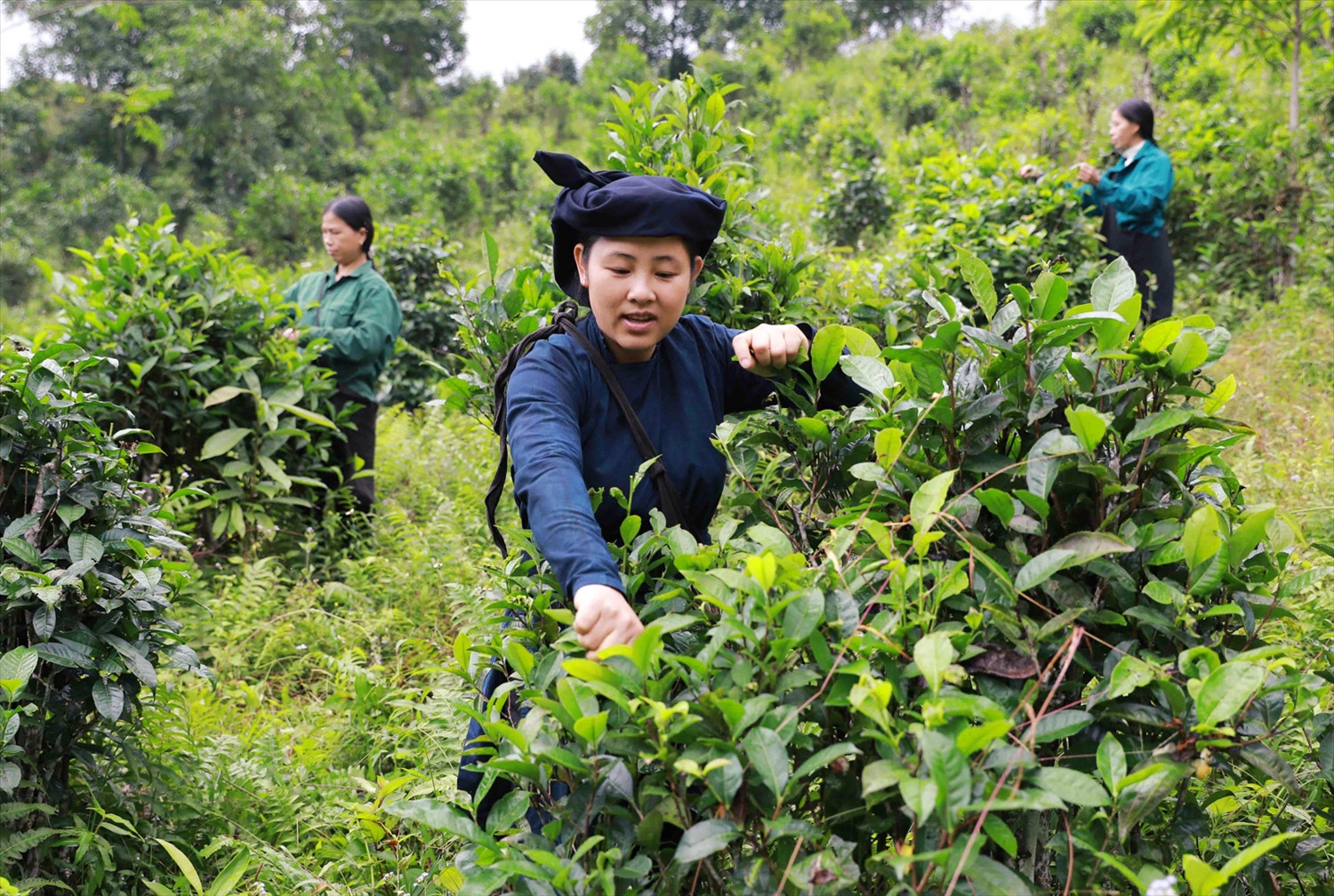 cap-nhat-ban-do-quy-hoach-huyen-cho-don-bac-kan-moi-nhat-1