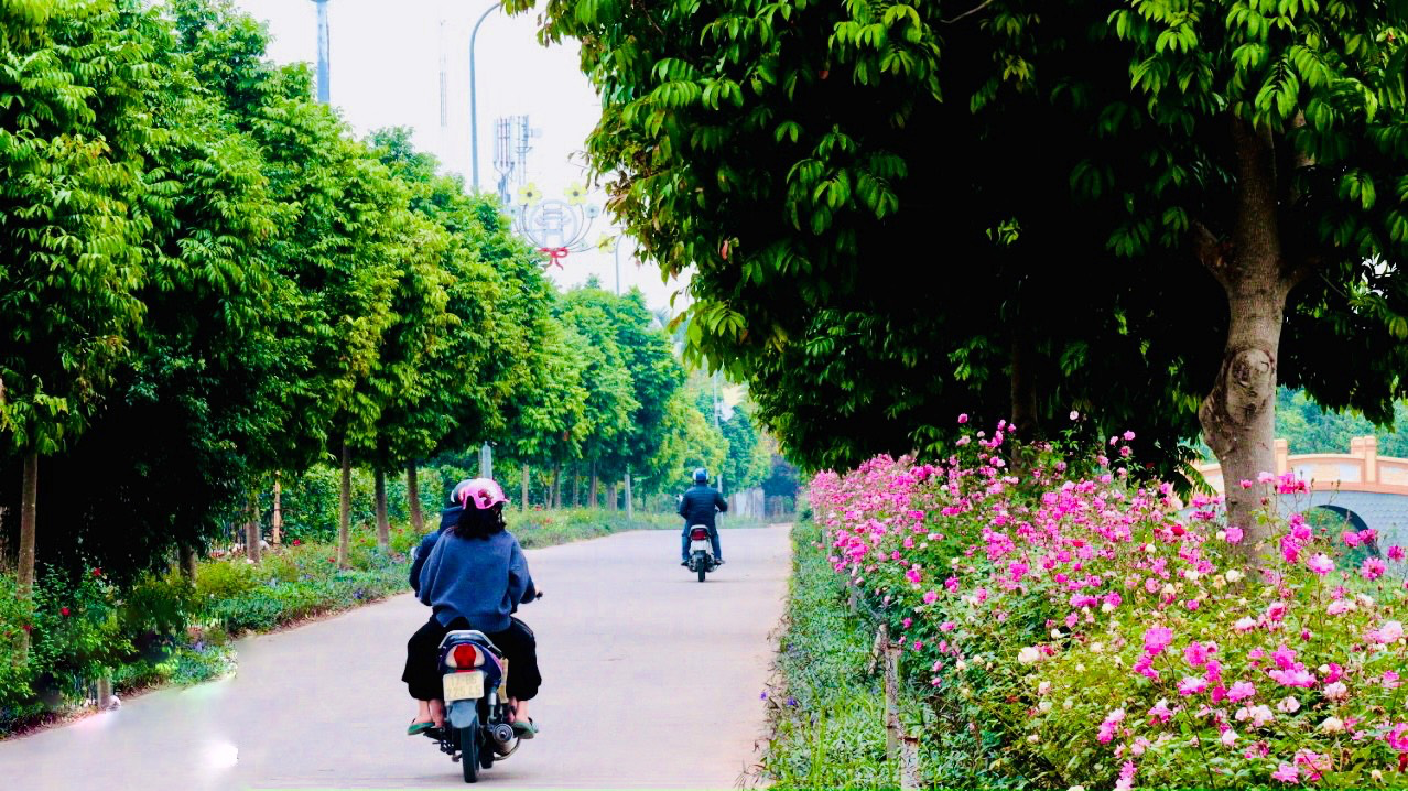 cap-nhat-thong-tin-quy-hoach-xa-yen-my-huyen-thanh-tri-ha-noi-moi-nhat-2