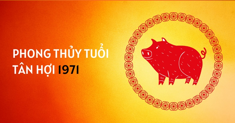 tuoi-tan-hoi-1971-nen-hop-tac-lam-an-voi-tuoi-nao-trong-nam-2025-de-thanh-cong-lon-2