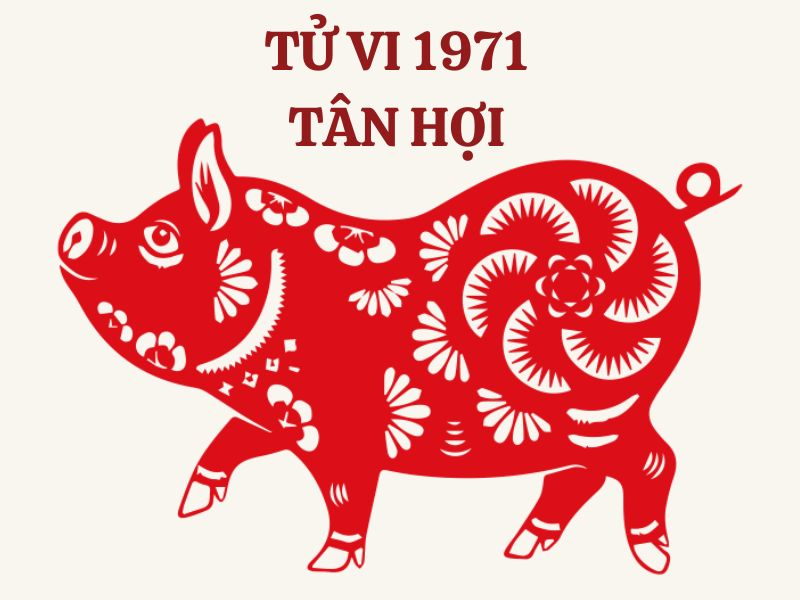 tuoi-tan-hoi-1971-nen-hop-tac-lam-an-voi-tuoi-nao-trong-nam-2025-de-thanh-cong-lon-1