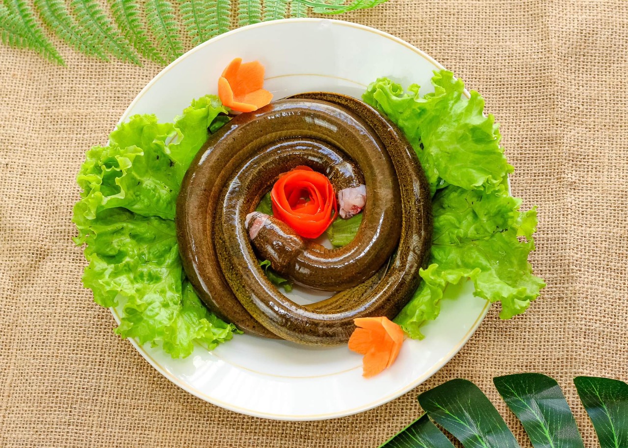 Lươn là thực phẩm giàu dưỡng chất