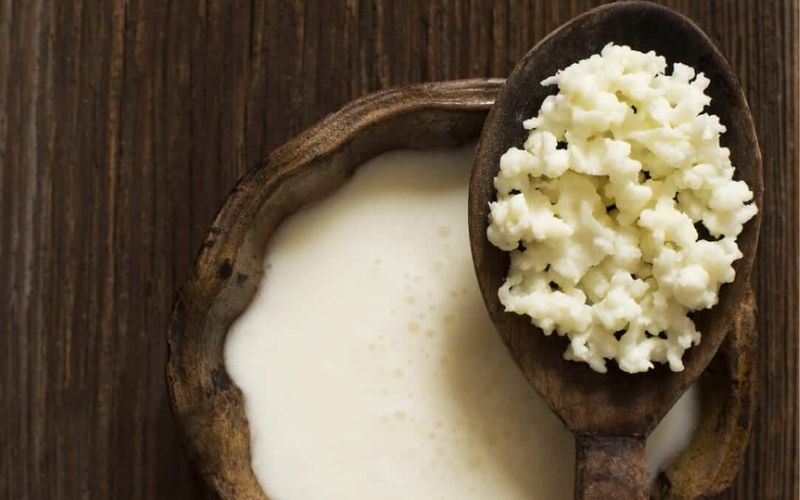 Sữa chua Kefir giàu probiotic và enzyme tiêu hóa