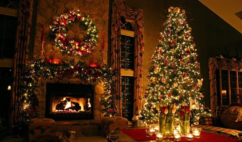Cây thông Noel phản ánh tinh thần của mùa lễ hội