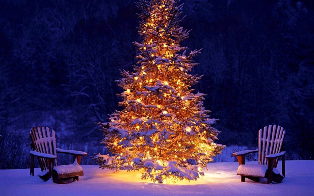 Trang trí cây thông Noel là hoạt động văn hóa quen thuộc