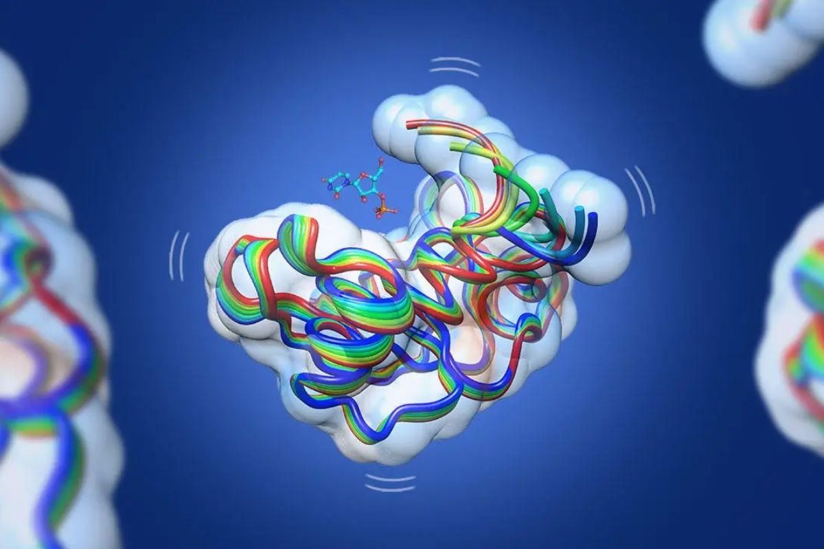 Mỗi enzyme đảm bảo chức năng và vai trò riêng