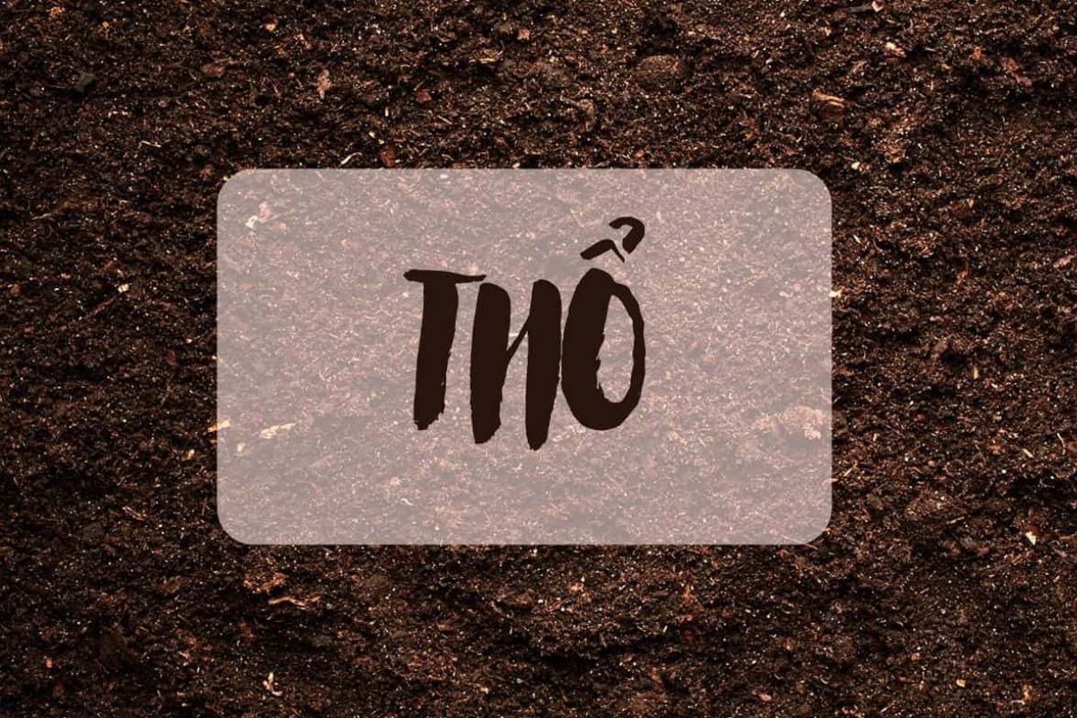 Mệnh Thổ cần củng cố nền tảng trước khi mở rộng