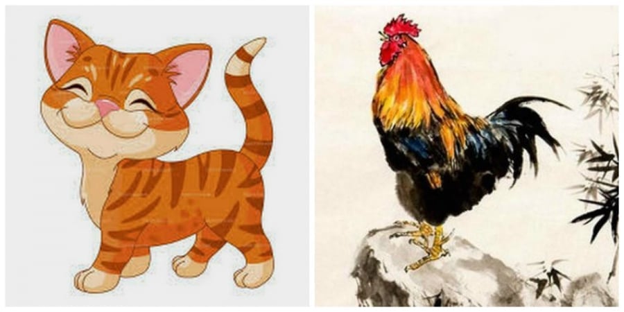 Tuổi Mão và tuổi Dậu có quyết đoán và kiến thức để nhận biết thời vận