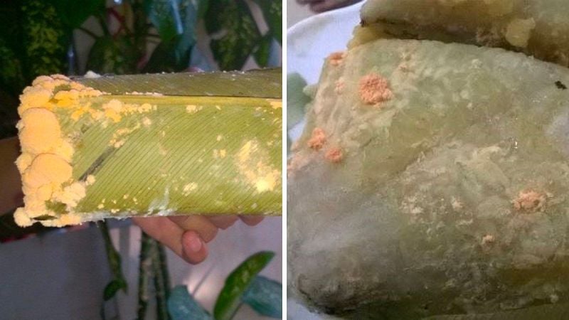 Bánh chưng dễ bị thiu, mốc nếu không bảo quản kỹ