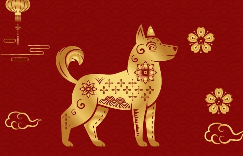 Tìm hiểu về tuổi và mệnh của người sinh năm 1970