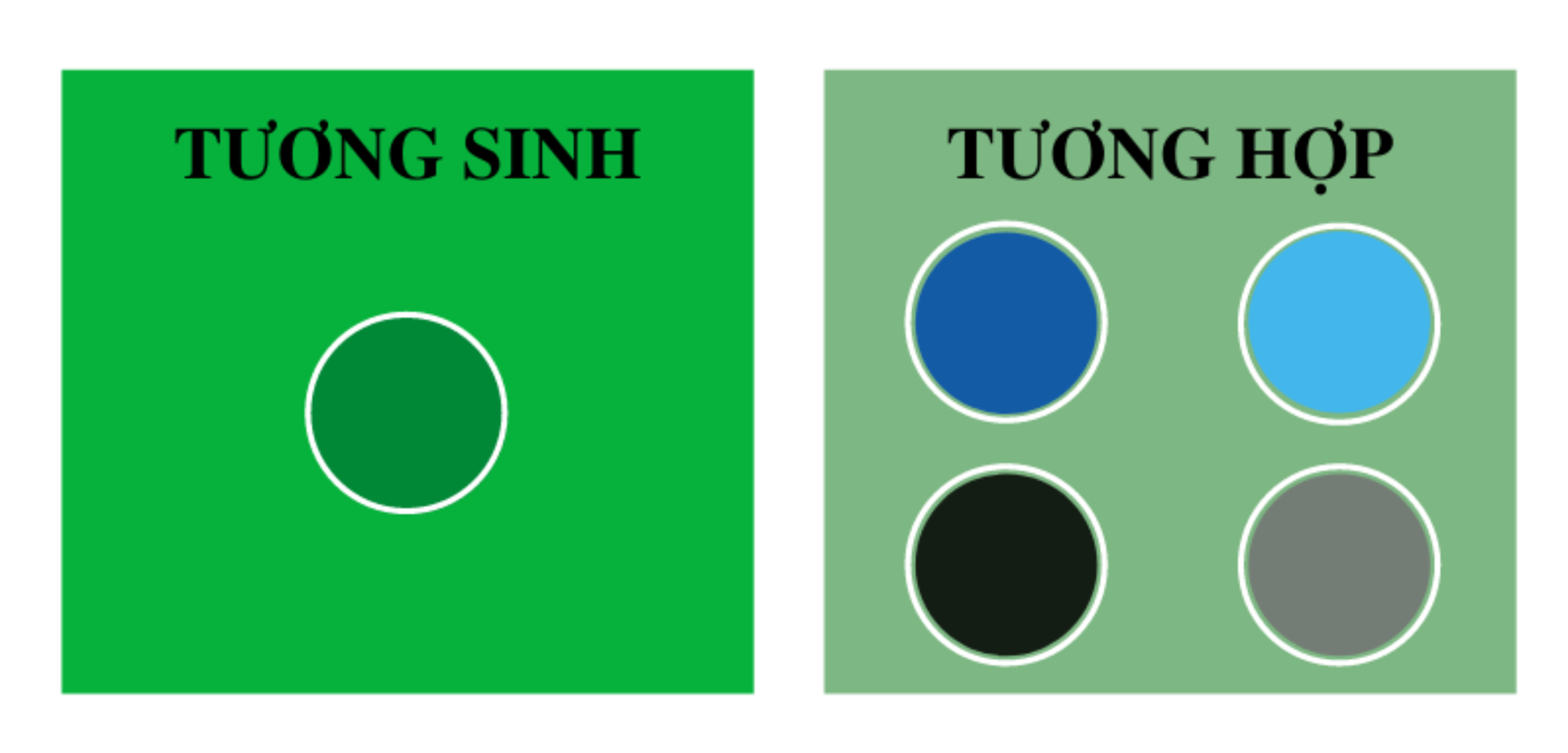 Nhóm màu hợp tuổi Tân Dậu 1981