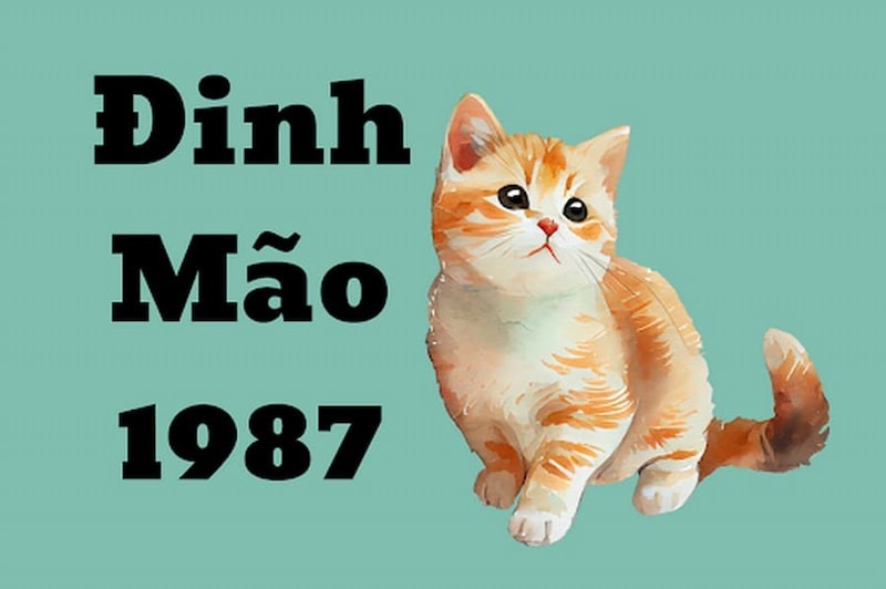 Tuổi Đinh Mão 1987 có năng lượng mạnh mẽ