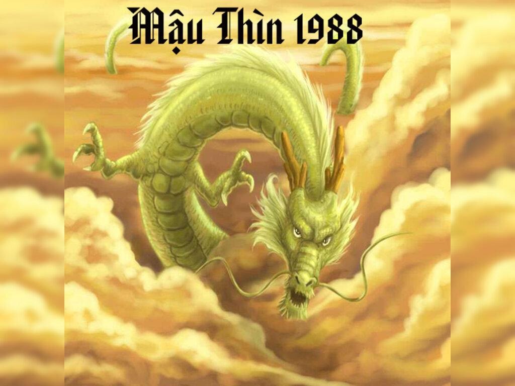 Tuổi Mậu Thìn 1988 thuộc mệnh Mộc