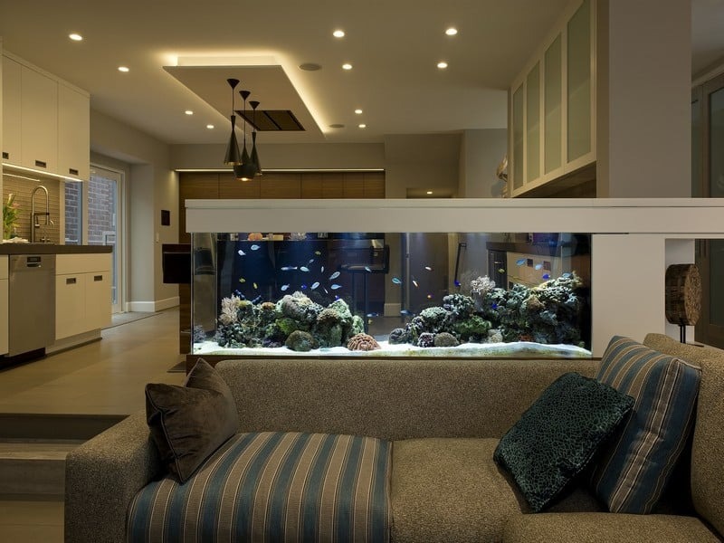 Bính Tý 1996 nên có hồ cá trong nhà để hóa giải nếu kết hôn với người không hợp tuổi