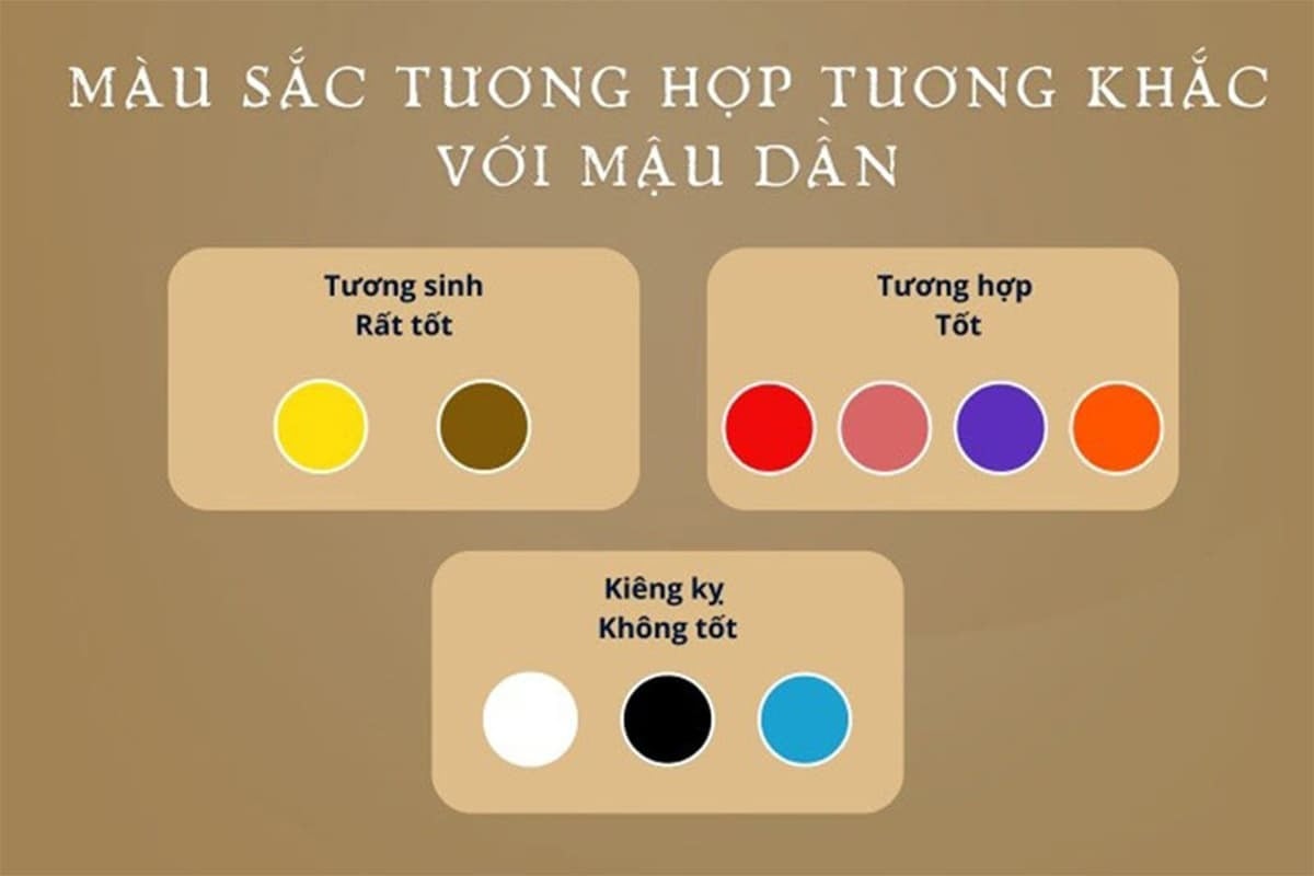 Mậu Dần 1998 nên ưu tiên dùng màu tương hợp, hạn chế dùng màu tương khắc để kích hoạt vận may trong sự nghiệp