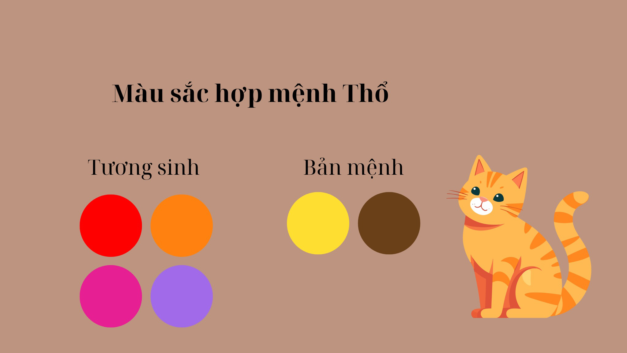 Kỷ Mão 1999 nên ưu tiên sử dụng các màu tương sinh, tương hợp trong năm 2026 để trợ mệnh