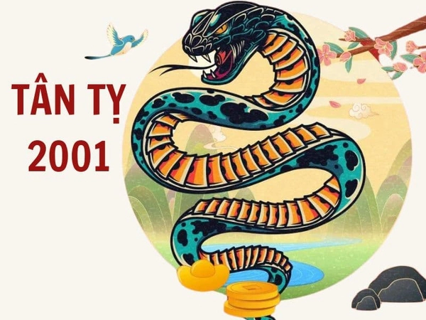 Tân Tỵ 2001 là mệnh Bạch Lạp Kim