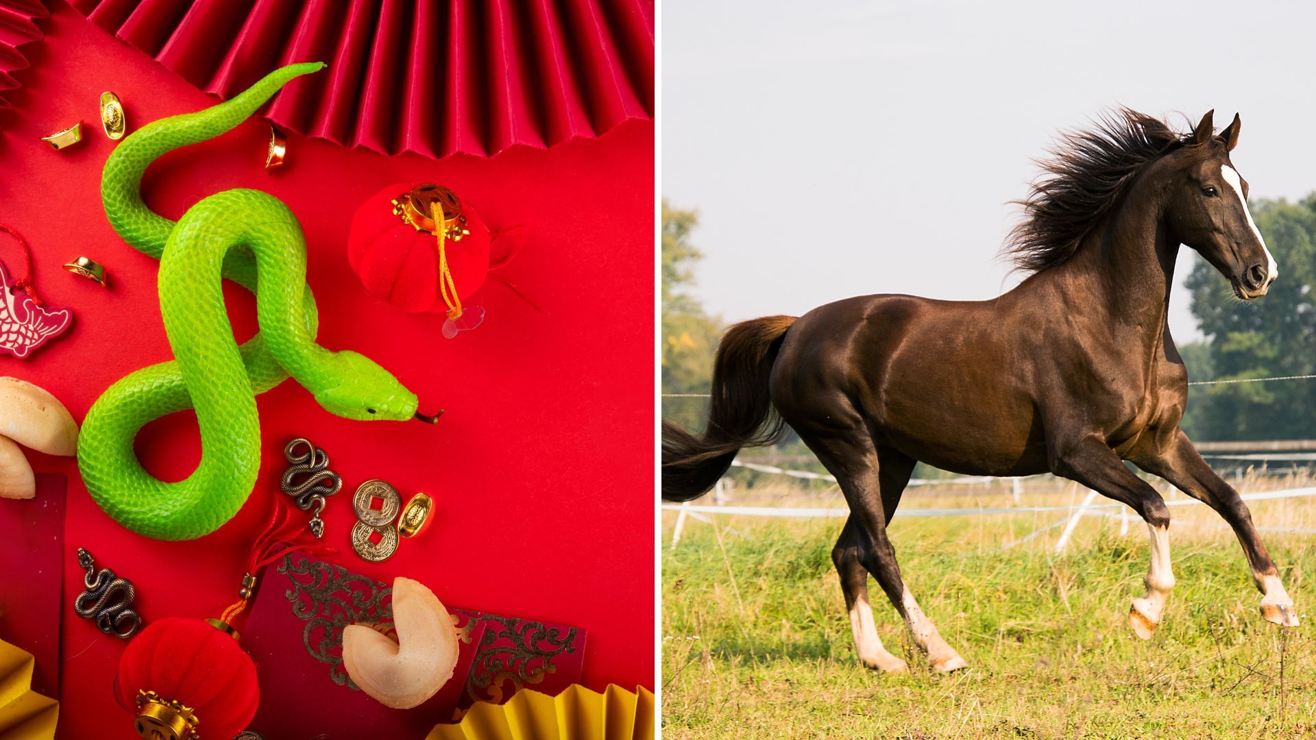 Nhâm Tuất nên tránh nhóm tuổi Tỵ - Ngọ đến xông nhà