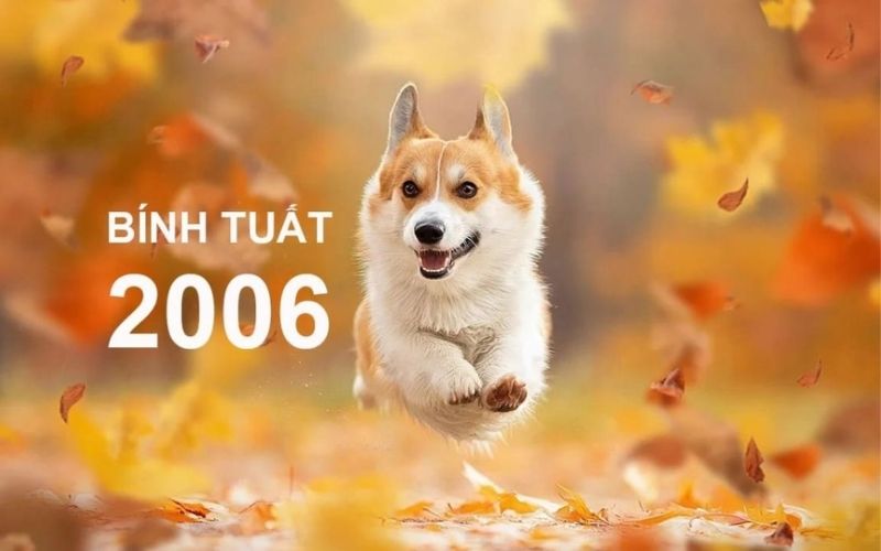 Tuổi Bính Tuất mệnh Ốc Thượng Thổ tượng trưng cho sự bền vững và kiên định trong cuộc sống