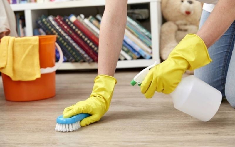 Phòng ngừa kiến đốt bằng cách giữ nhà sạch và kiểm tra quần áo trước khi mặc