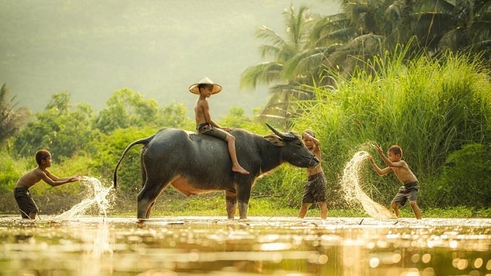 Thứ 3 này hứa hẹn mang tới nhiều thành tựu tốt đẹp cho người tuổi Sửu