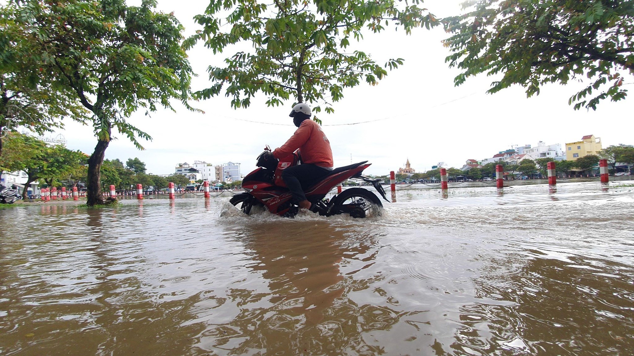 Thuỷ triều nghiêm trọng hơn do tác động của con người