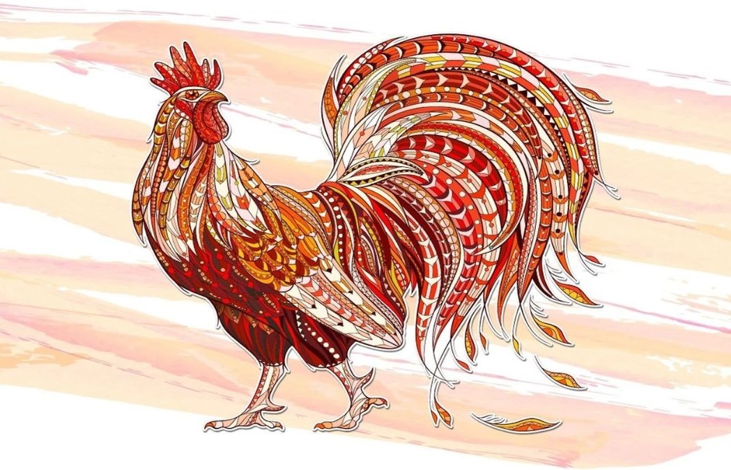 Tìm hiểu tổng quan tử vi tuổi Tân Dậu 1981 nam mạng năm 2026