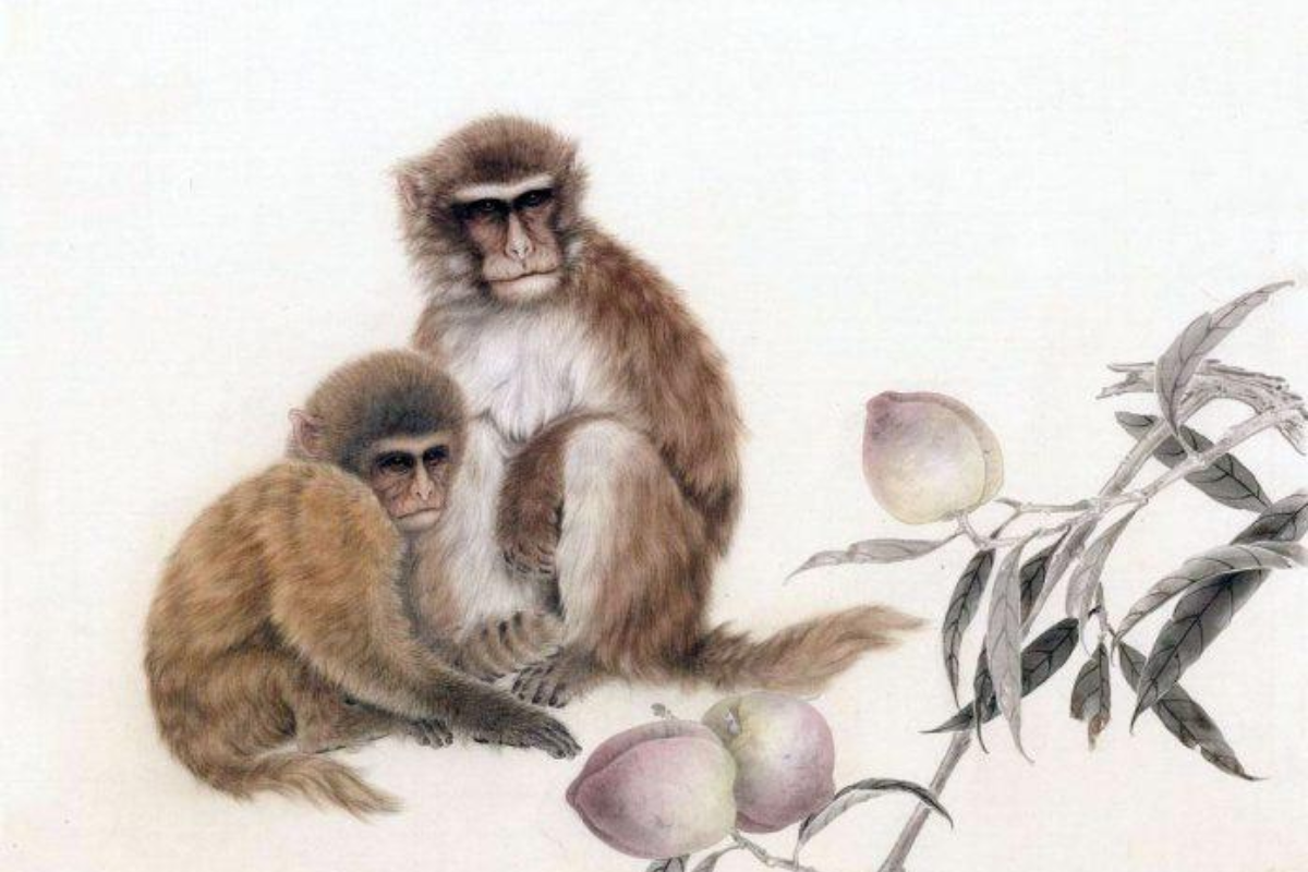 Năm 2026 nữ Bính Thân nên đặt sức khỏe lên hàng đầu