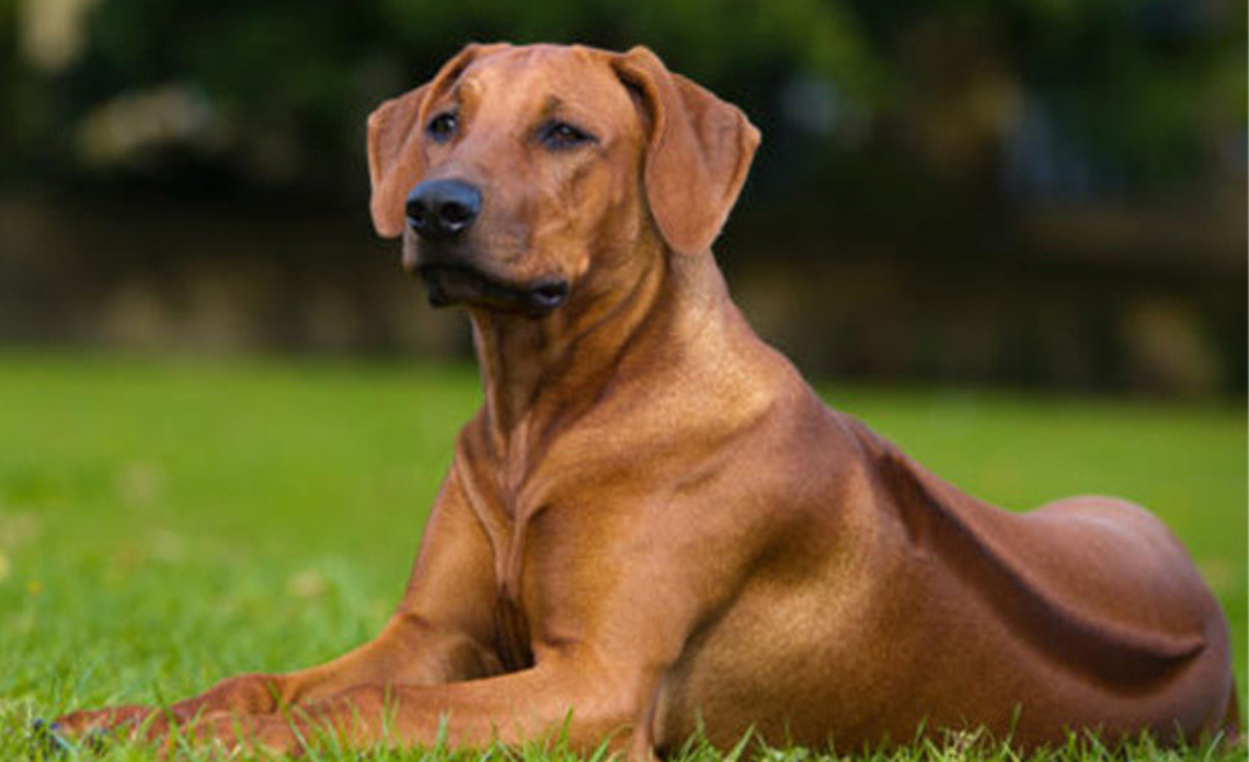 Nữ Mậu Tuất 1958 nên duy trì lối sống lành mạnh