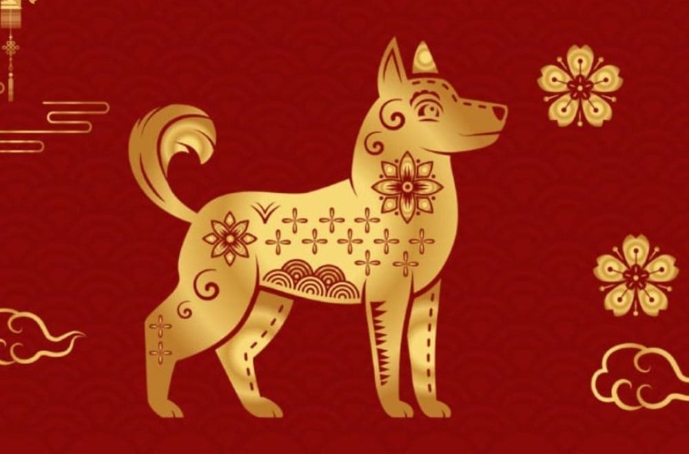 Tìm hiểu tổng quan tử vi tuổi Nhâm Tuất 1982 nữ mạng năm 2026