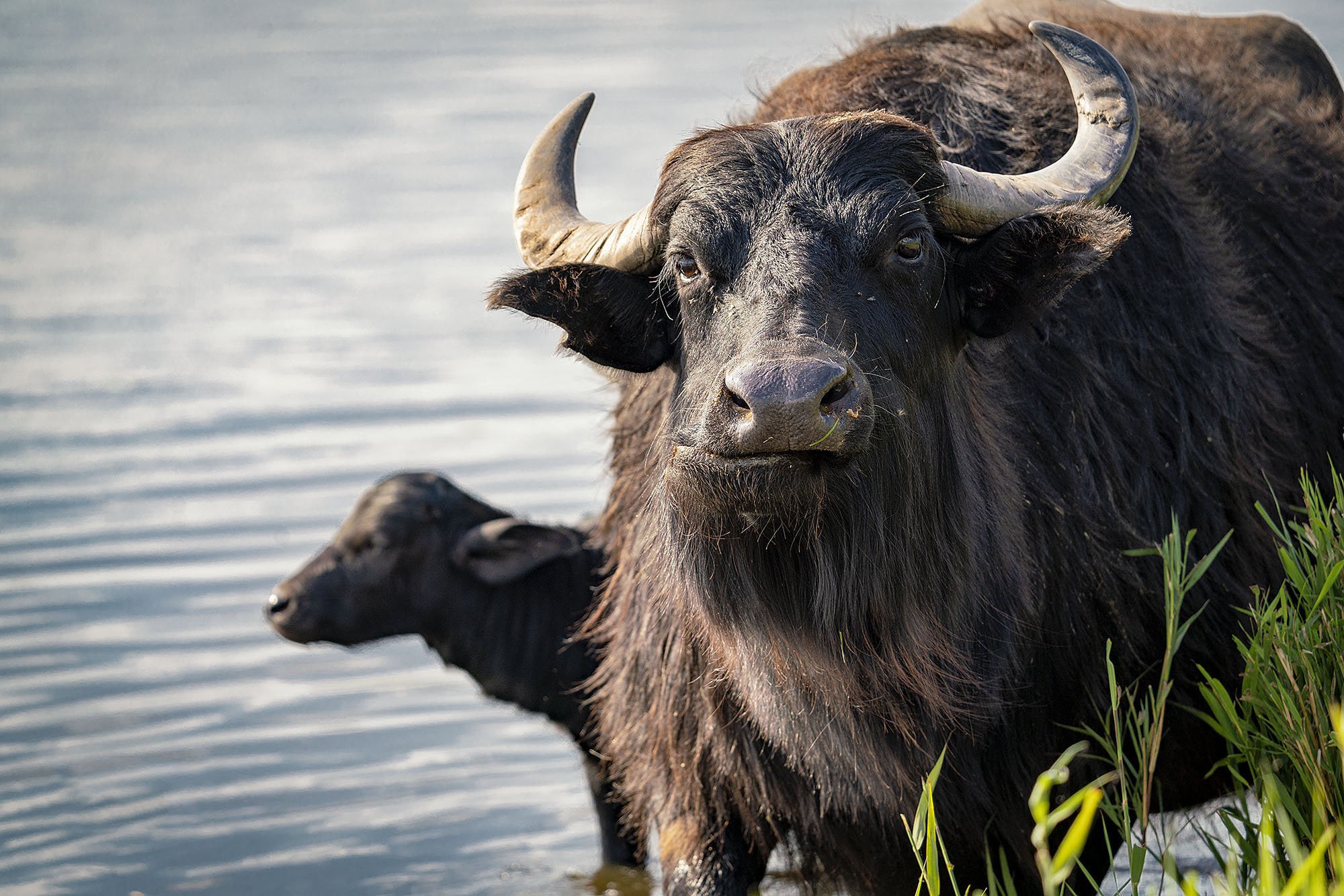 Năm 2026 nam mạng sinh năm 1997 được sao Thủy Diệu chiếu mệnh