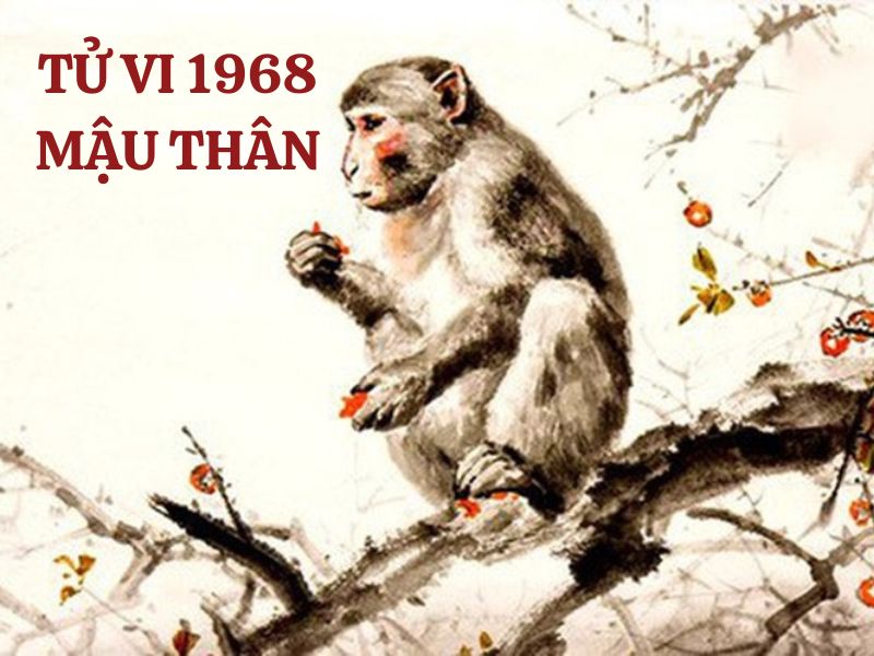 Cát tinh và hung tinh cùng hội tụ trong lá số năm Bính Ngọ của nữ Mậu Thân