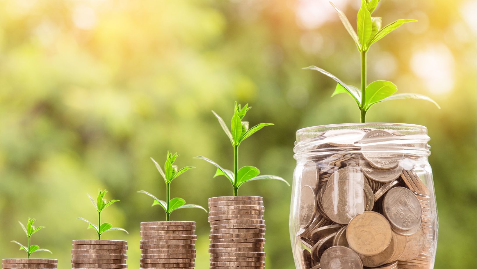 Vận may tiền bạc sẽ đến khi bạn biết tận dụng cơ hội