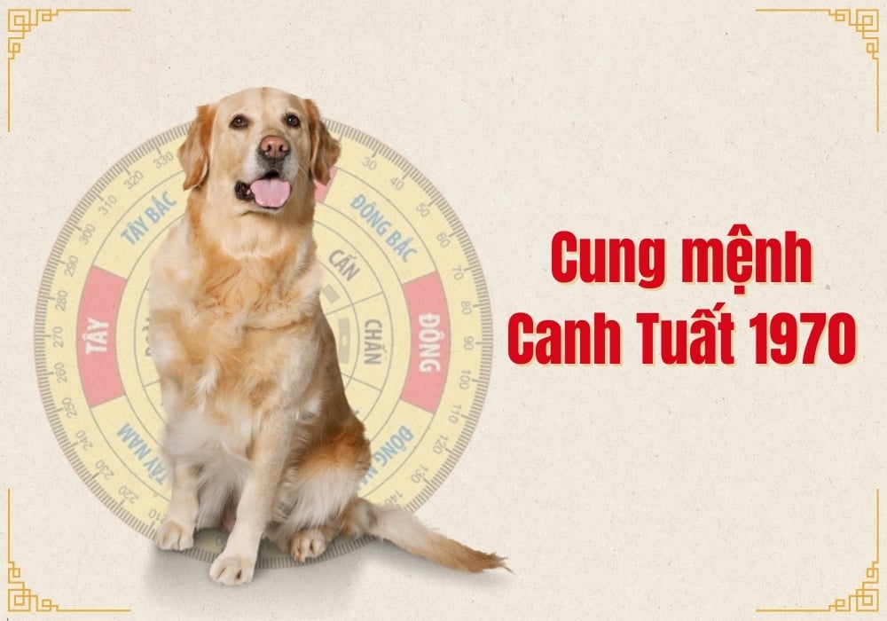 Nam mạng Canh Tuất 1970 có năm 2026 thuận lợi về tài lộc và sự nghiệp