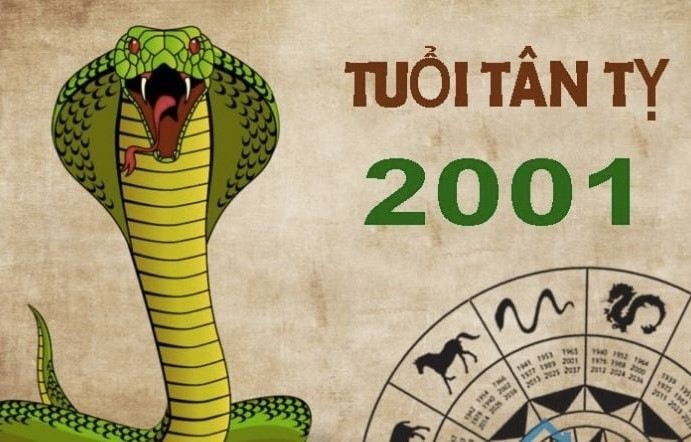 Tìm hiểu tổng quan tử vi tuổi Tân Tỵ 2001 nam mạng năm 2026