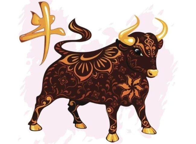 Vận trình báo hiệu một năm trung bình