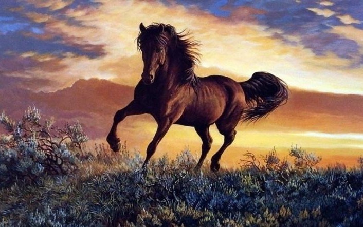 Tìm hiểu tổng quan tử vi tuổi Nhâm Ngọ 2002 nam mạng năm 2026 