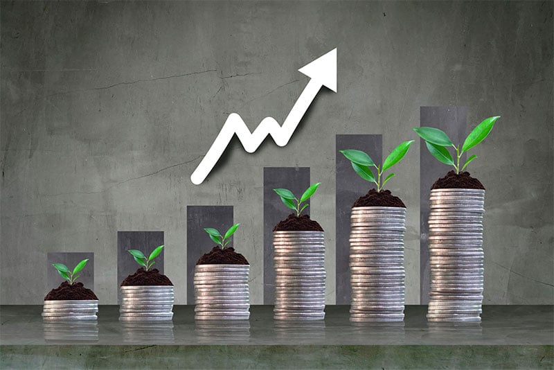 Xử Nữ nên tập trung tích lũy trong năm nay