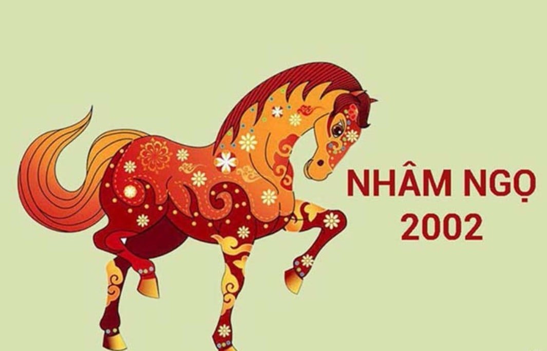 Tìm hiểu tổng quan tử vi tuổi Nhâm Ngọ 2002 nữ mạng năm 2026