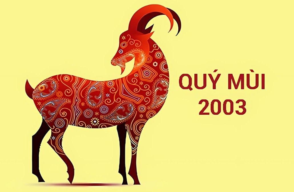 Tìm hiểu tổng quan tử vi tuổi Quý Mùi 2003 nam mạng năm 2026 