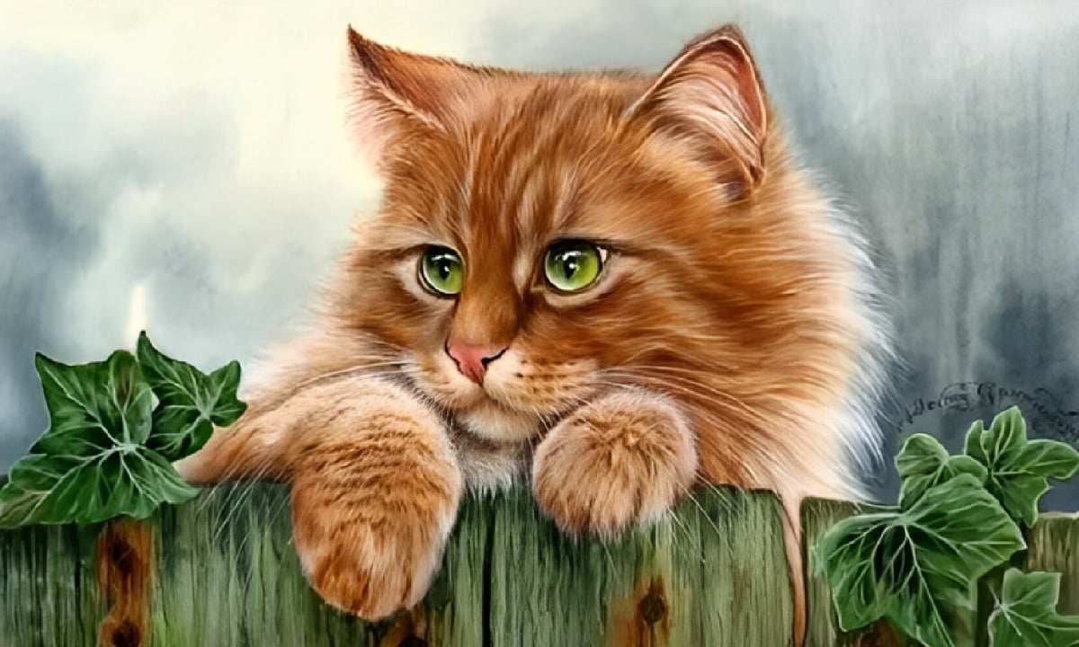 Công danh Ất Mão nam mạng năm 2026 ở mức ổn định