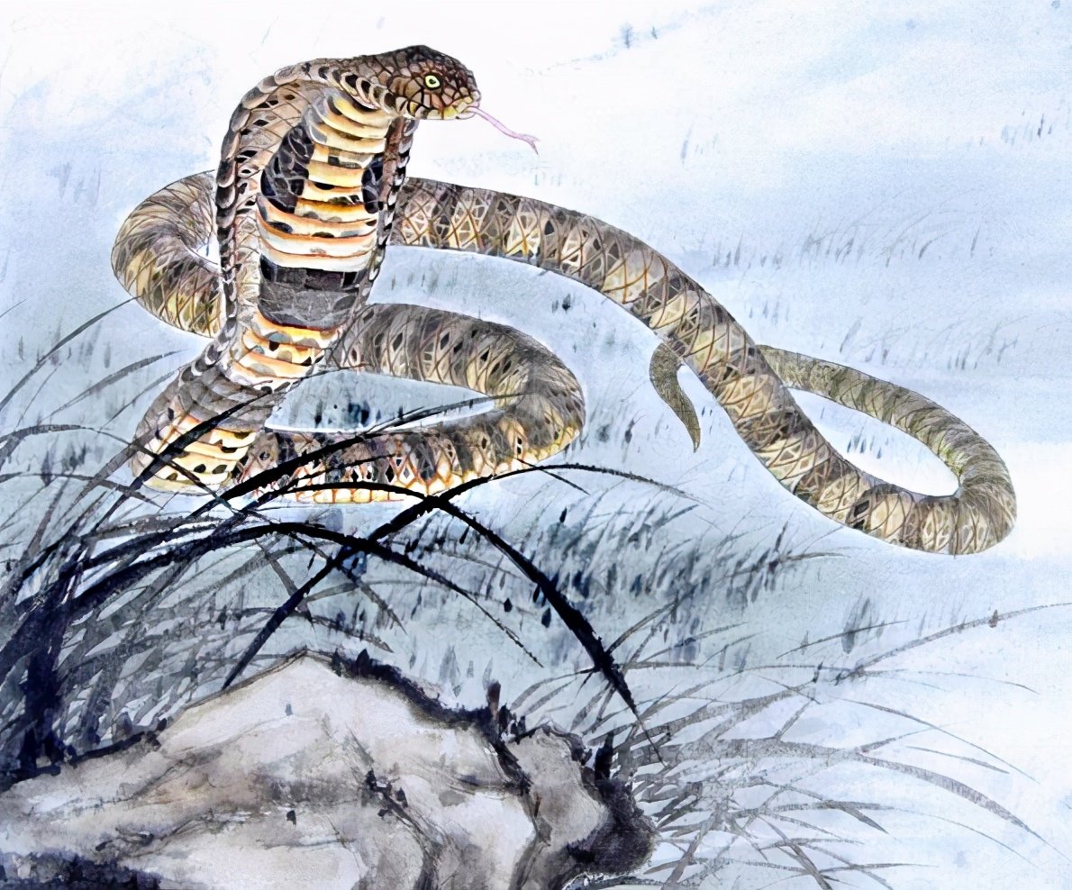 Công việc của nam Đinh Tỵ 1977 tương đối ổn định