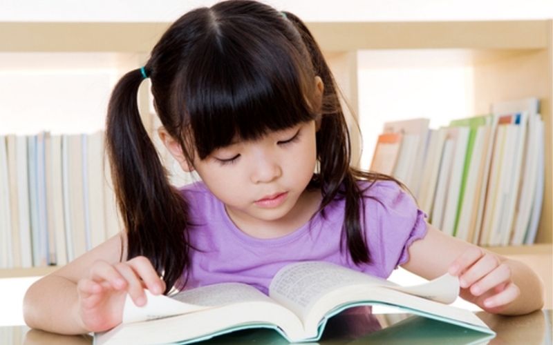 Tập trung và kiên trì là chìa khóa giúp Đinh Dậu 2017 tỏa sáng trong học tập năm 2026