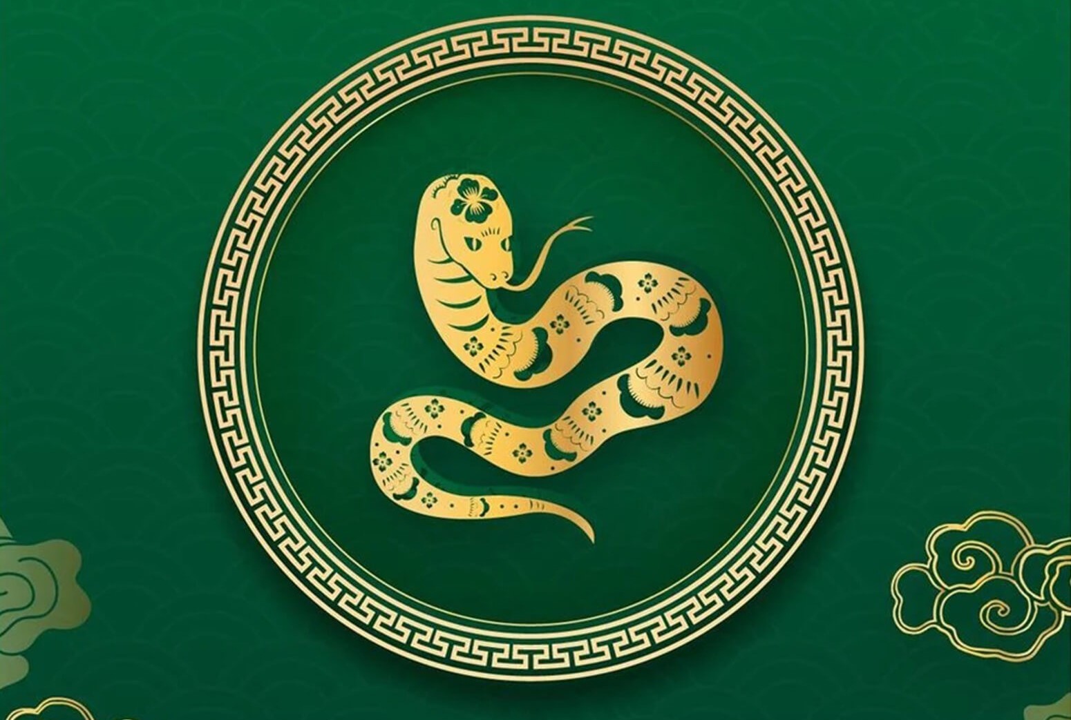 Tìm hiểu tổng quan về nam 1977 Đinh Tỵ năm 2026