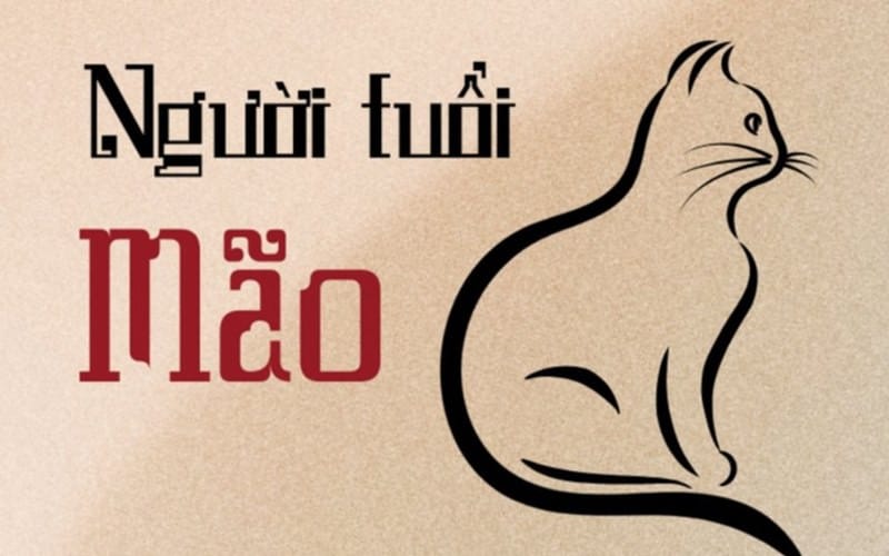 Năm 2026, tuổi Đinh Mão 1987 nữ mạng cần chú ý hạn Tam Kheo và Tam Tai