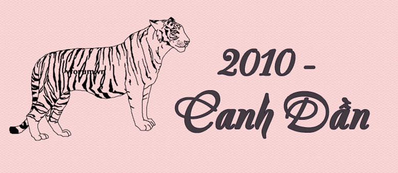 Ở tuổi 17 Âm lịch, trọng tâm là học tập, tu dưỡng và định hướng tương lai