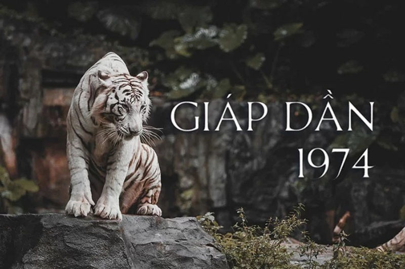 Gợi ý các tiêu chí chọn người xông nhà phù hợp với nam 1974 Giáp Dần